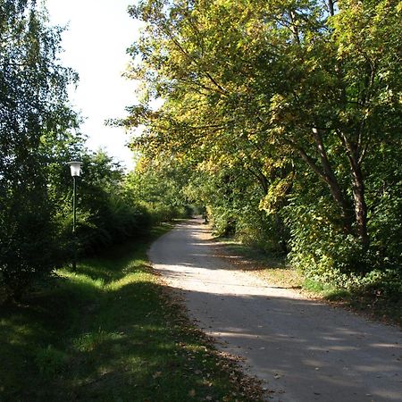 Ferienhaus Am Klosterwald Dargun 外观 照片
