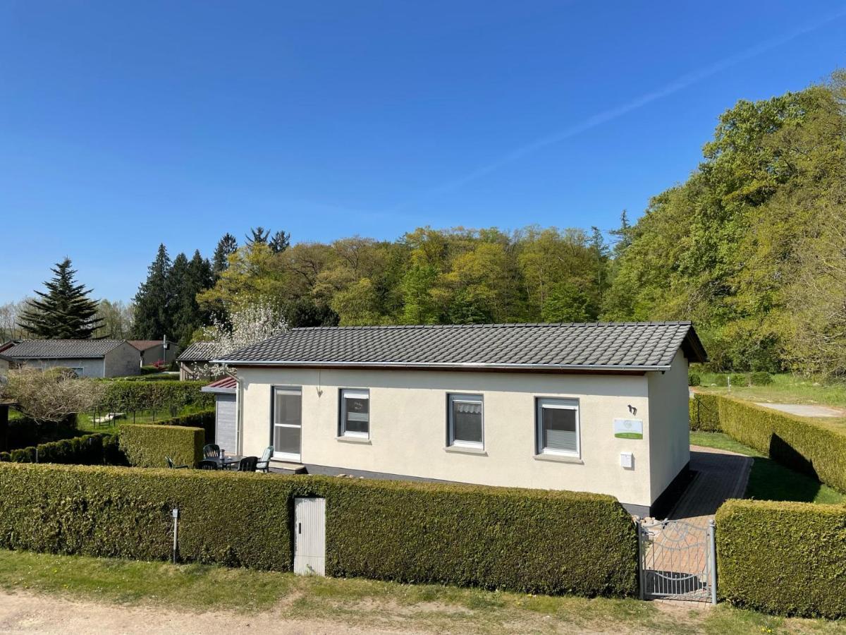 Ferienhaus Am Klosterwald Dargun 外观 照片