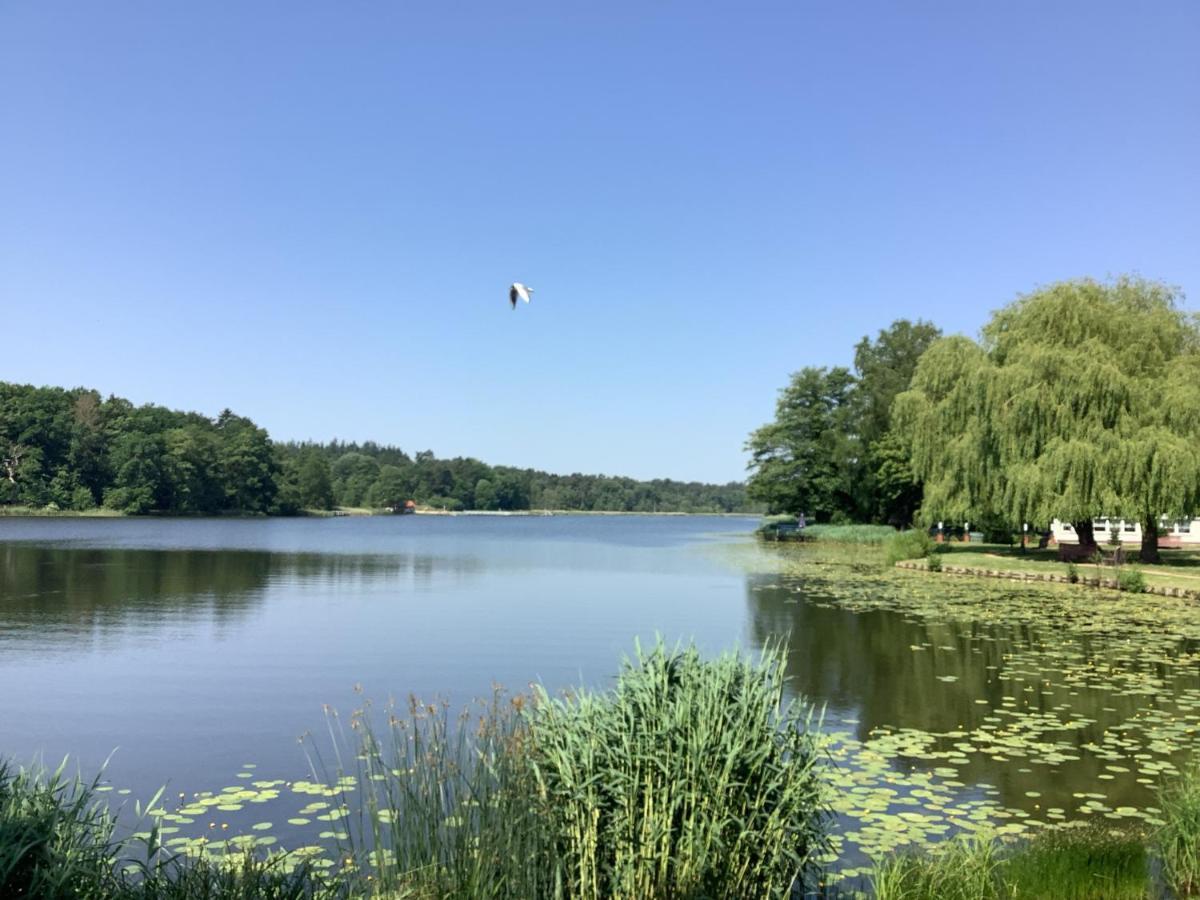 Ferienhaus Am Klosterwald Dargun 外观 照片